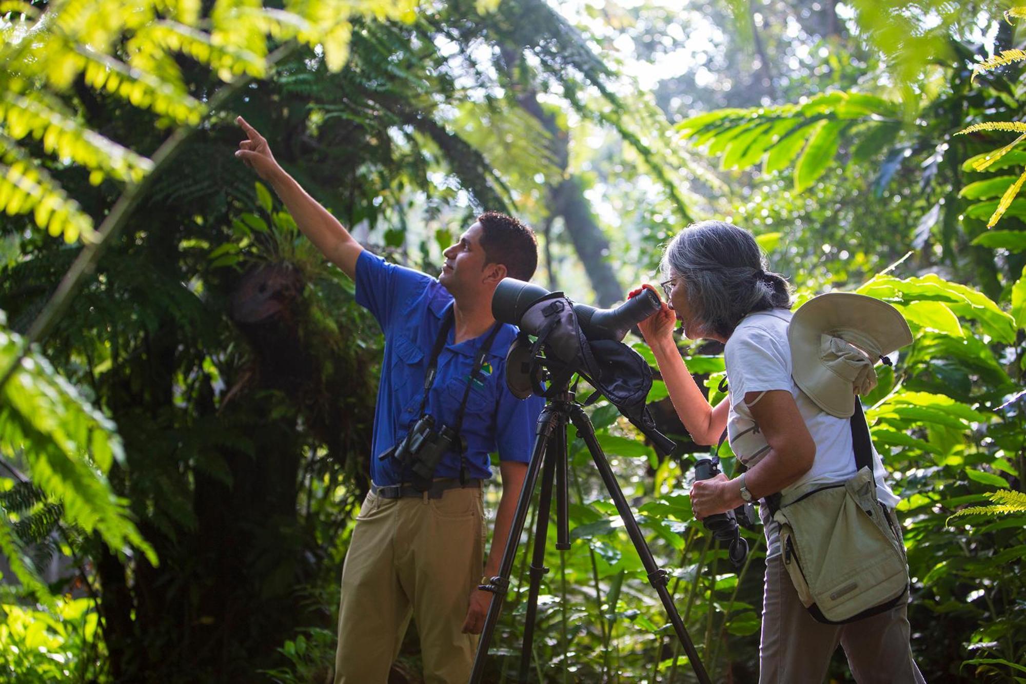 Arenal Observatory & Trails