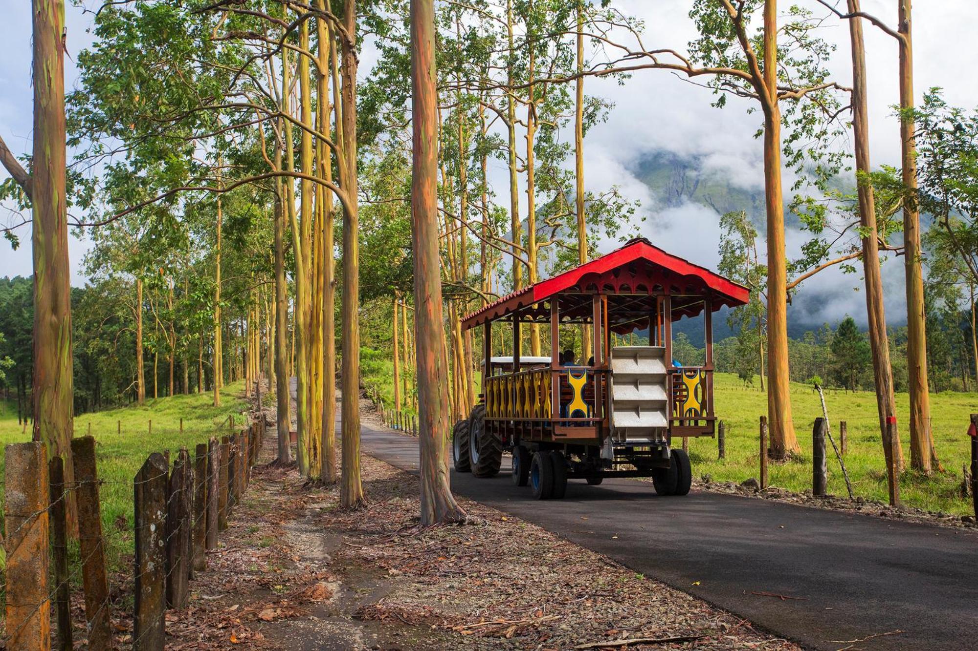 Arenal Observatory & Trails La Fortuna